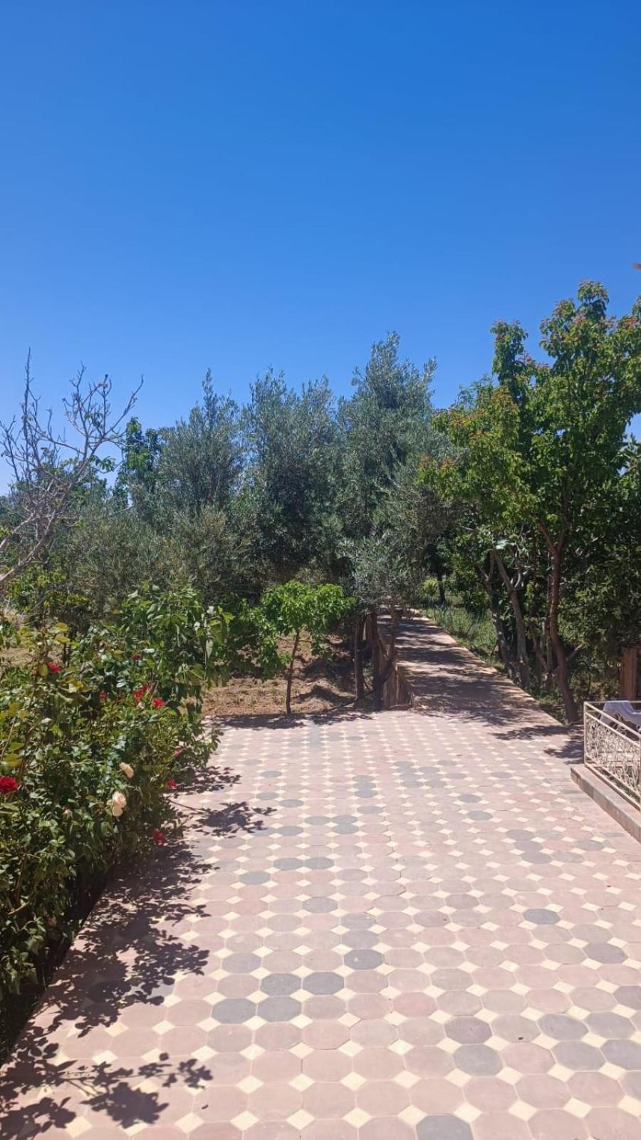 Chez L'Habitant Amazigh Varzazate Kültér fotó