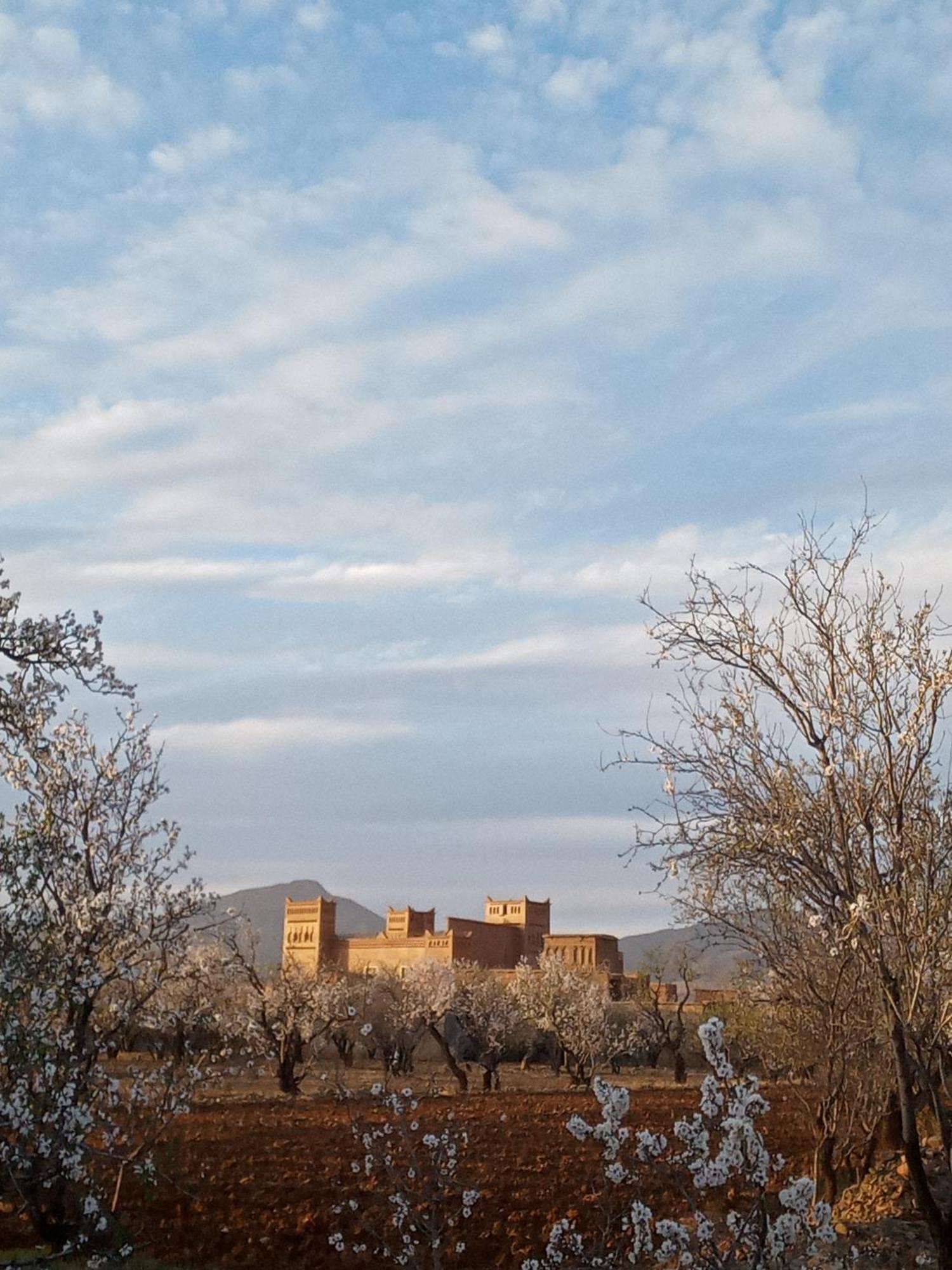 Chez L'Habitant Amazigh Varzazate Kültér fotó